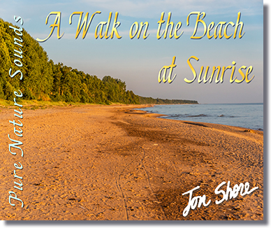 A Walk on the Beach at Sunrise by Jon Shore